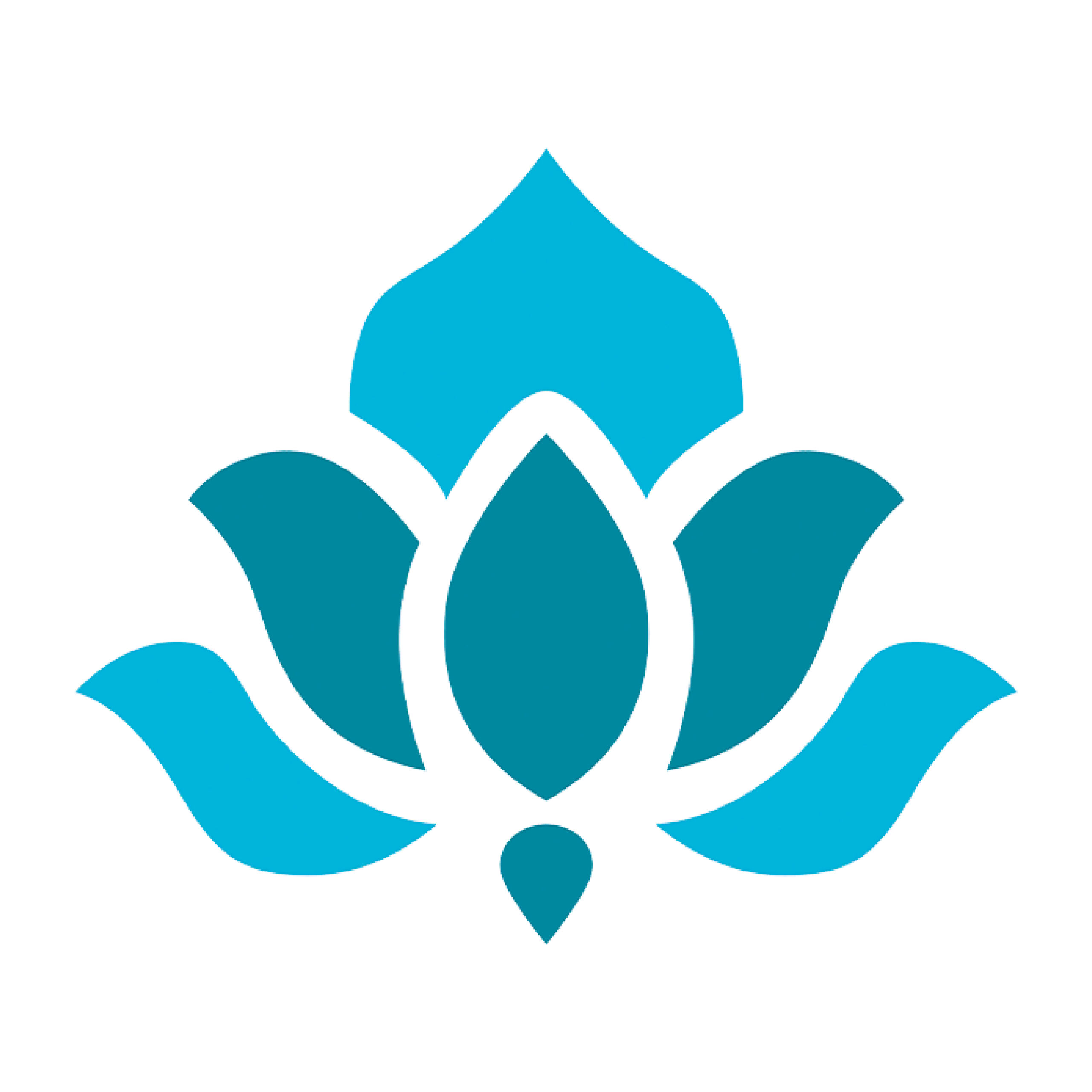 Shriji Trading FZCo Logo